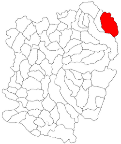 Location in Caraș-Severin County