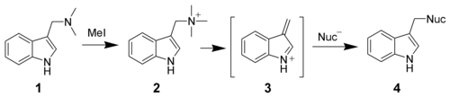 Retromichael addition of gramine