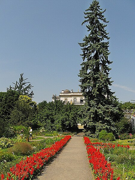 Файл:Kraków - ogród botaniczny;;;;;;.jpg