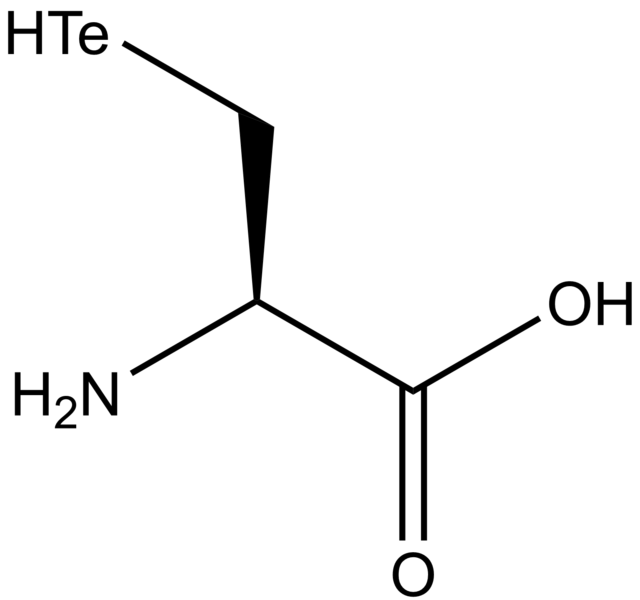 File:L-tellurocysteine-2D-skeletal.png