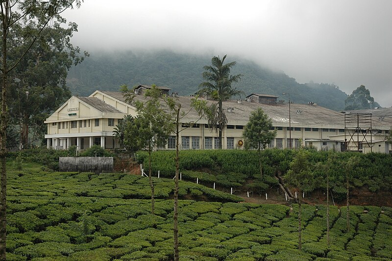 File:Mattupatti tea factory.jpg