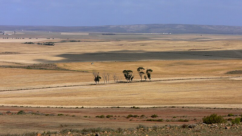 File:Overberg-5.JPG