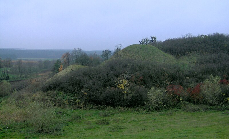 Archivo:Płonko gord.jpg