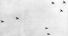 A distant photo taken from ground where several bombers are flying in the air.