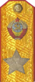 погоны 1943