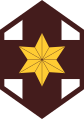 804th Medical Brigade[25]