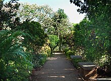 Annavaram temple garden.jpg