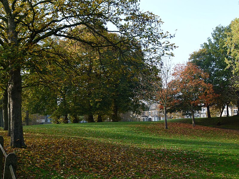 File:London, Plumstead Common 03.jpg