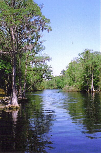 File:LumberRiverStatePark.jpg