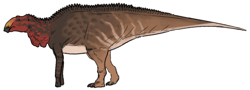 File:Maiasaura peeblesorum.png