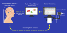 Neurofeedback Process Diagram.png