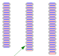 Nitrogen13/14/15 Isotopes