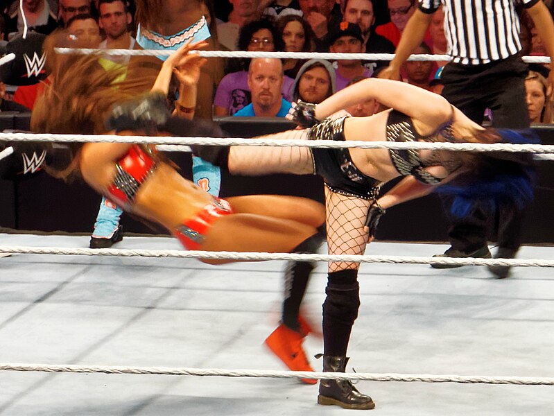 Файл:Paige side kick.jpg