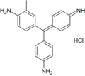 Fuchsine (hydrochloride salt)