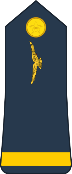 File:Senegal-AirForce-OF-1a.svg