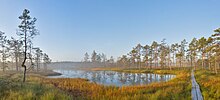 Sunrise at viru bog.jpg