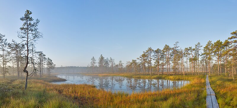 Файл:Sunrise at viru bog.jpg