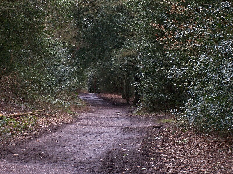 File:Sutton Park Path.jpg