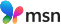 File:2024 new msn logo.svg