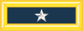 U.S. Army: Brigadier general