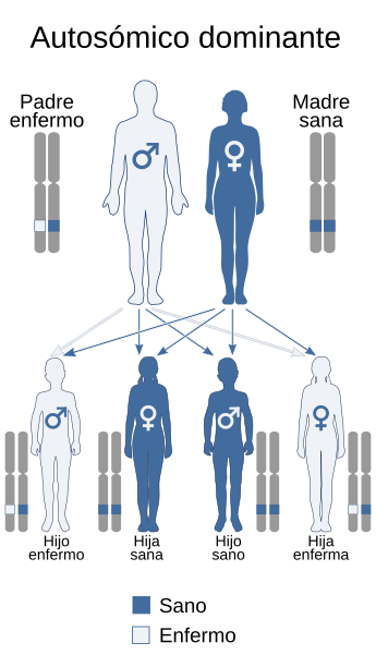 Archivo:Autosomal dominant - es.svg