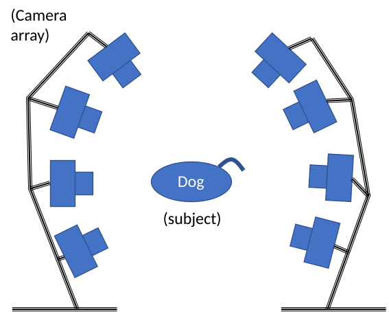 File:Camera Array Photogrammetry.svg