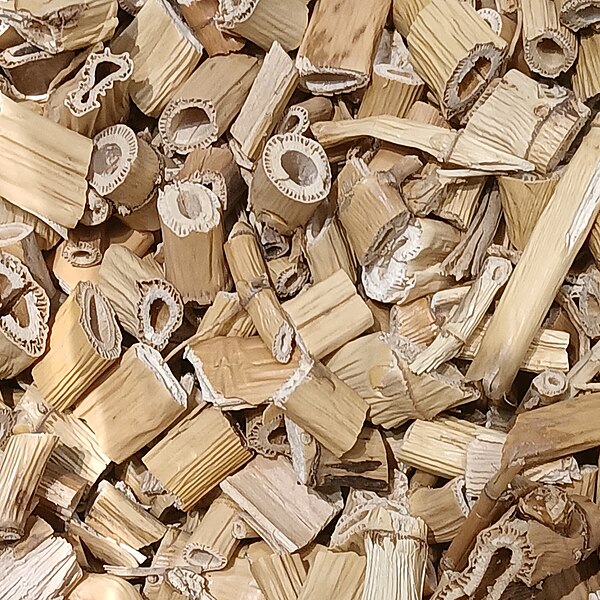 File:Dried reed root segments.jpg