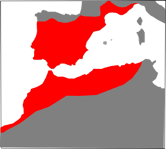 Distribución de M. monspessulanus[1]​