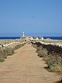 Narrow road to the lighthouse