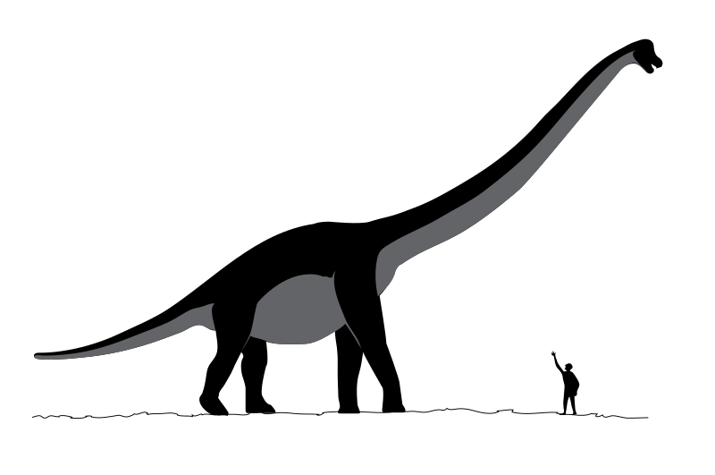 File:Sauroposeidon dinosaur.svg