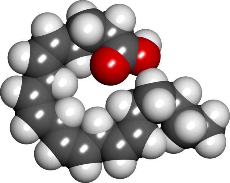 File:Arachidonic acid spacefill.png