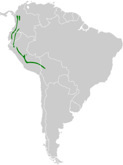 Distribución geográfica del tiluchí cabeciestriado.