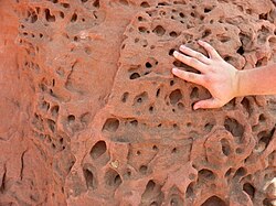 Tafoni in a Cambrian sandstone, Timna Valley, Negev Desert, Israel.