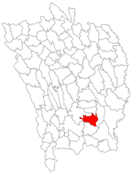 Location in Vaslui County