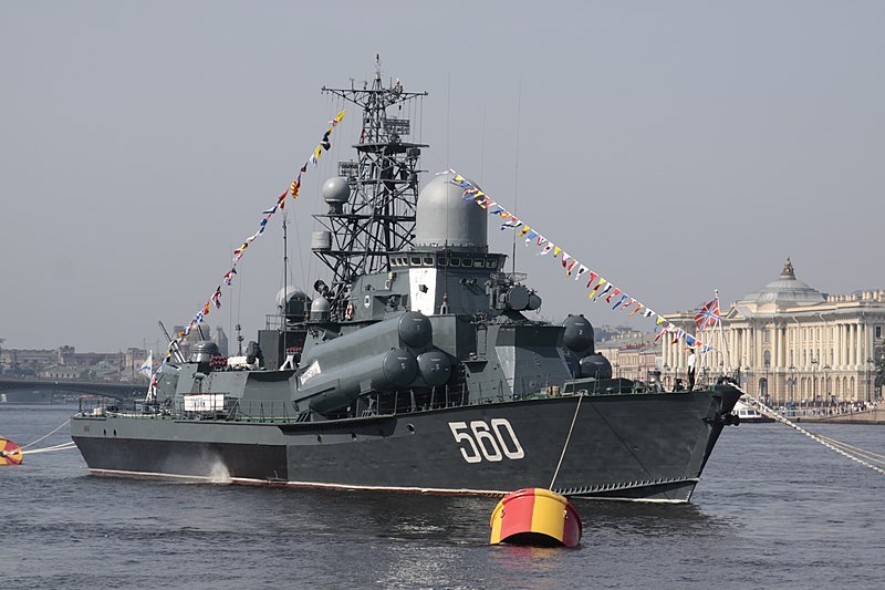 Файл:Zyb'-2010-Sankt-Peterburg-1.jpg