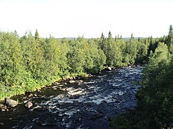 Шовна в августе