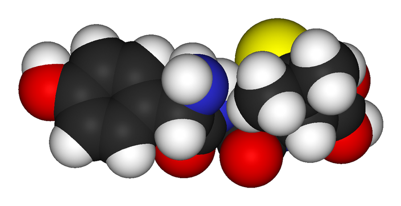 File:Amoxicillin-3D-vdW.png