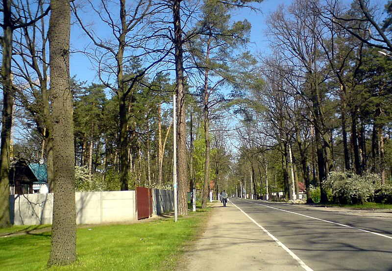 File:Bucha, Vokzalna Street.jpg