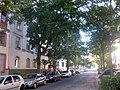 A typical street in Offenbach