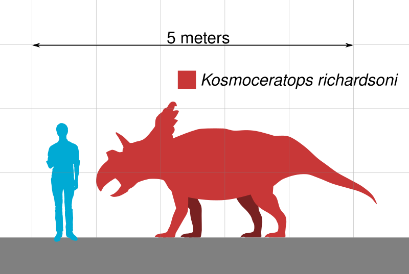 Archivo:Kosmoceratops Scale.svg