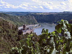 part of: Rhine Gorge 