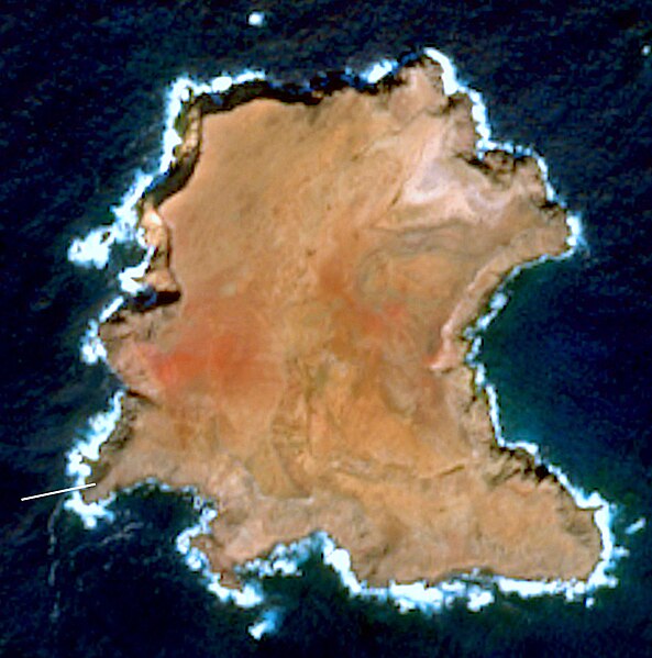 File:Selvagem Grande Island sentinel2.jpg