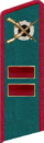 петлица 1940