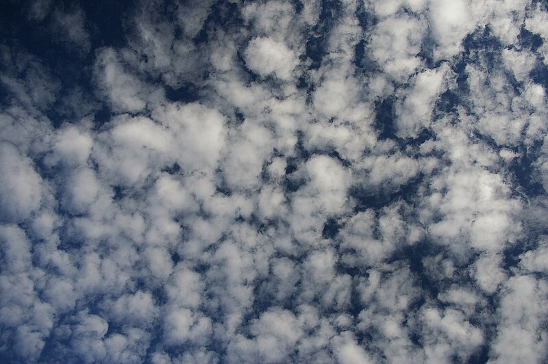 File:Altocumulus.jpg