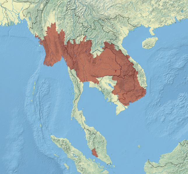 File:Bithynia siamensis map.png