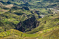 Image 2Agriculture terraces were (and are) common in the austere, high-elevation environment of the Andes. (from History of agriculture)