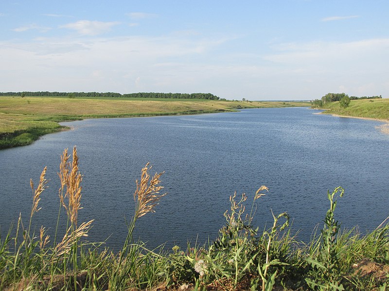 Файл:Domashka river 02.jpg