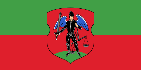 Файл:Flag of Navahradak.svg