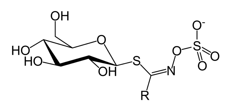 File:Glucosinolate-skeletal.png