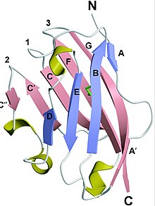 MOG Estructura cristal.jpg